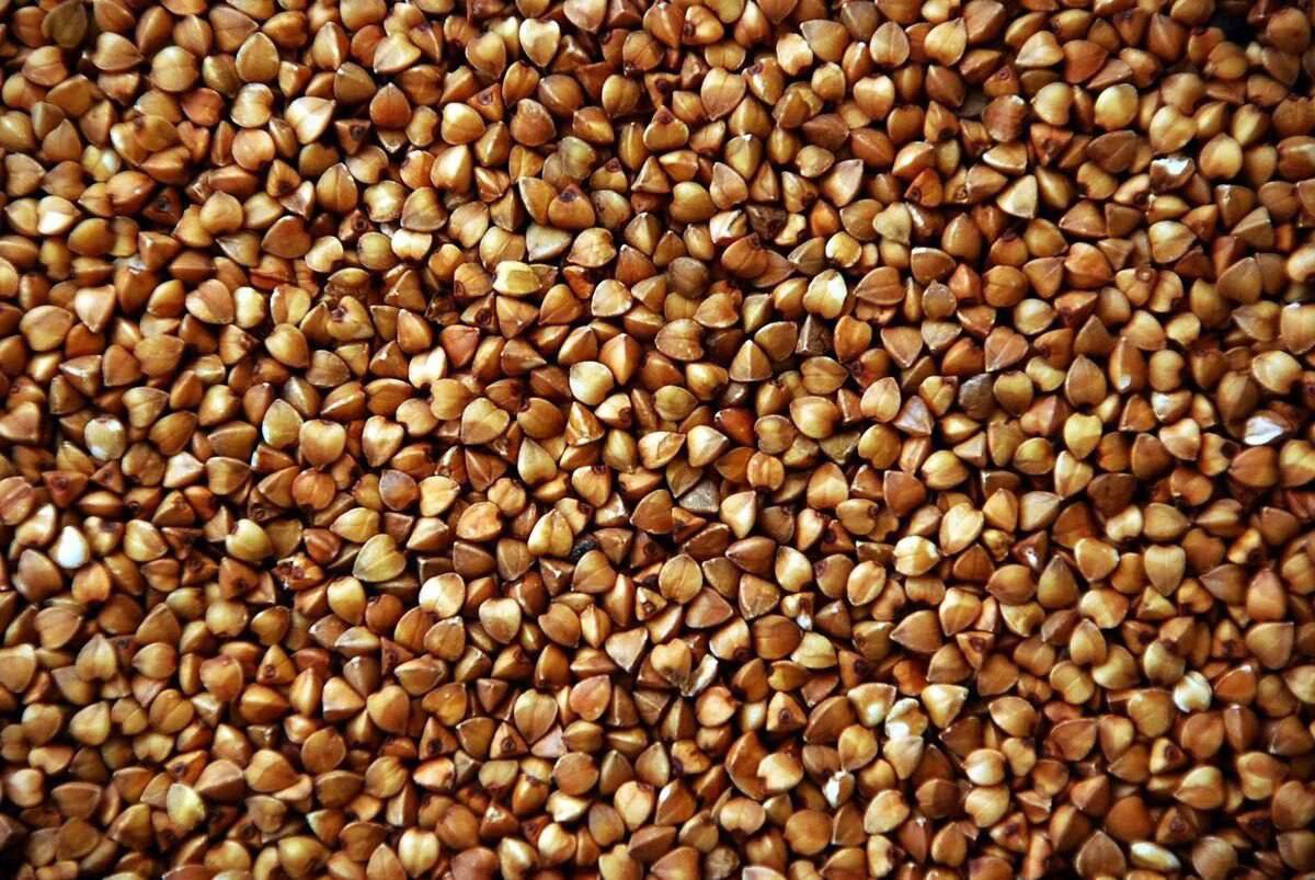 Kasza gryczana naprawdę uważana jest za jedną z najzdrowszych.